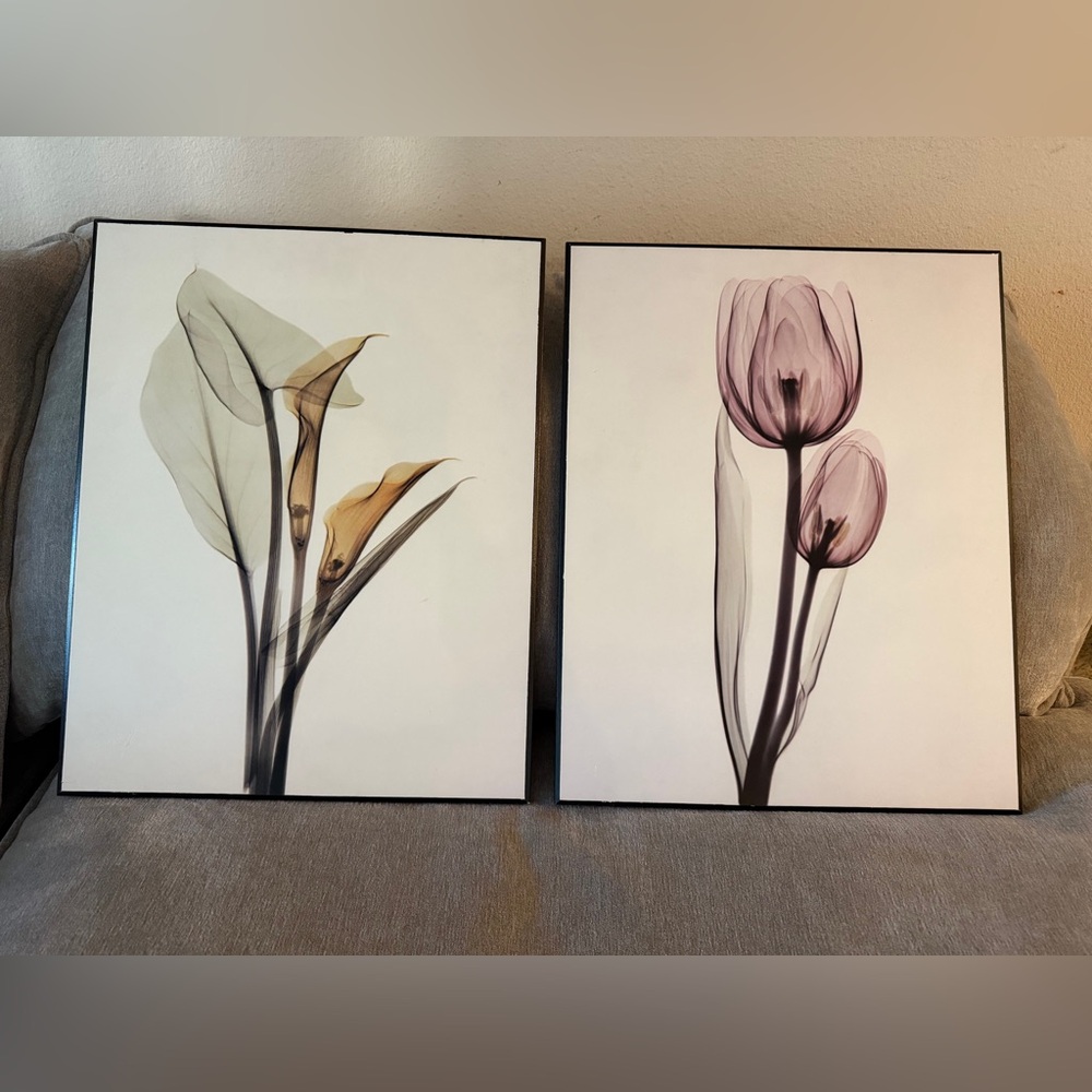 Floral Art Print Set
